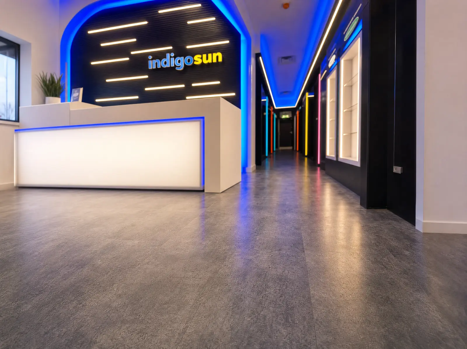 Indigo Sun flooring - image 4